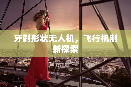 牙刷形状无人机，飞行机制新探索