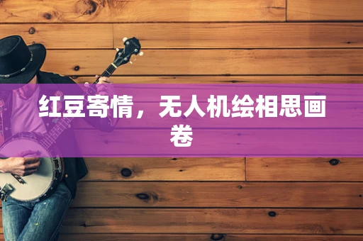 红豆寄情，无人机绘相思画卷
