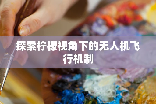 探索柠檬视角下的无人机飞行机制