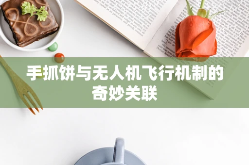 手抓饼与无人机飞行机制的奇妙关联