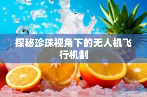 探秘珍珠视角下的无人机飞行机制