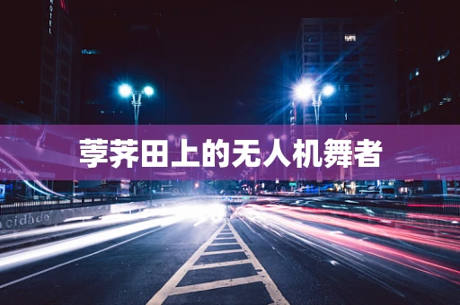 荸荠田上的无人机舞者