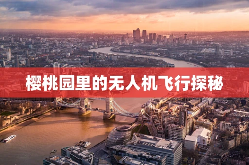 樱桃园里的无人机飞行探秘
