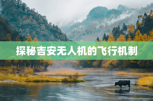 探秘吉安无人机的飞行机制