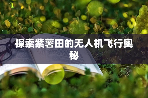 探索紫薯田的无人机飞行奥秘