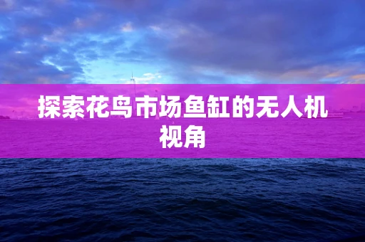 探索花鸟市场鱼缸的无人机视角