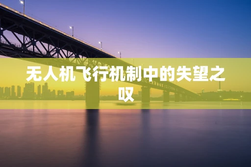 无人机飞行机制中的失望之叹