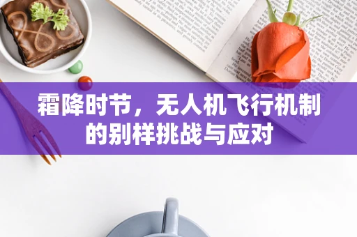 霜降时节，无人机飞行机制的别样挑战与应对