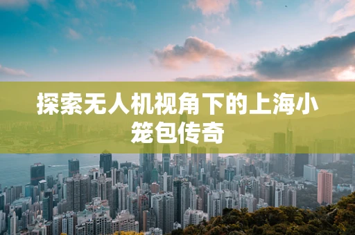 探索无人机视角下的上海小笼包传奇