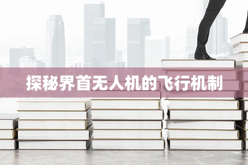 探秘界首无人机的飞行机制