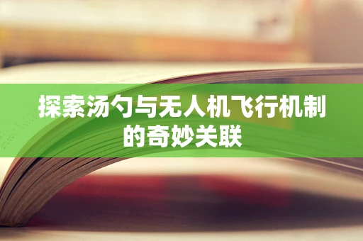 探索汤勺与无人机飞行机制的奇妙关联