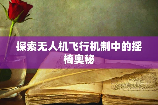 探索无人机飞行机制中的摇椅奥秘