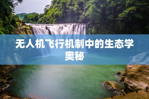 无人机飞行机制中的生态学奥秘