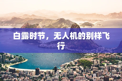 白露时节，无人机的别样飞行