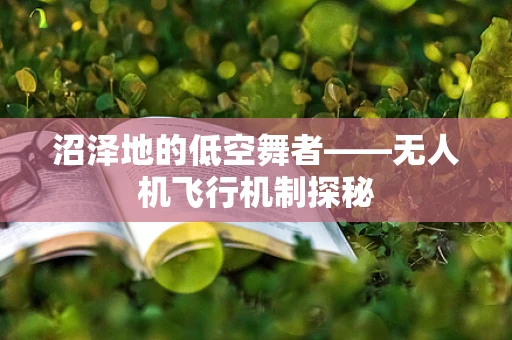 沼泽地的低空舞者——无人机飞行机制探秘