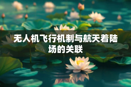 无人机飞行机制与航天着陆场的关联