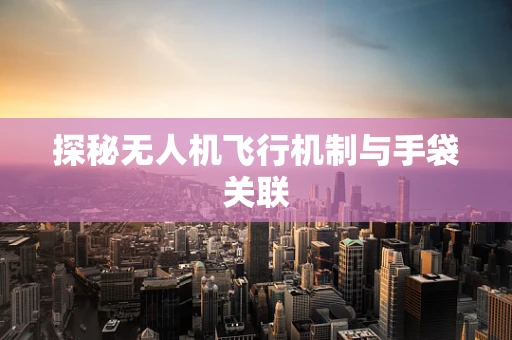 探秘无人机飞行机制与手袋关联