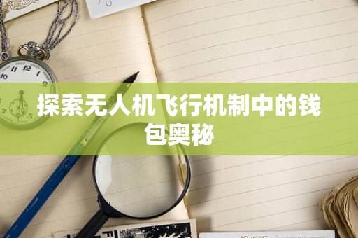 探索无人机飞行机制中的钱包奥秘