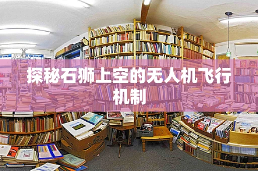 探秘石狮上空的无人机飞行机制