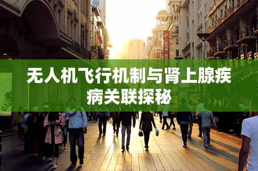 无人机飞行机制与肾上腺疾病关联探秘