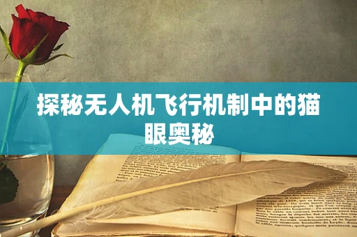探秘无人机飞行机制中的猫眼奥秘
