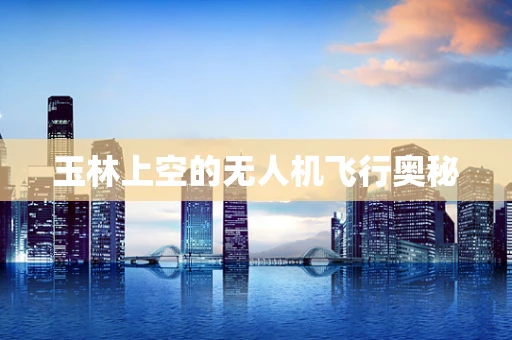玉林上空的无人机飞行奥秘