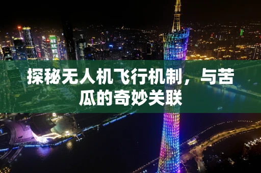 探秘无人机飞行机制，与苦瓜的奇妙关联