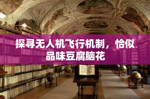 探寻无人机飞行机制，恰似品味豆腐脑花