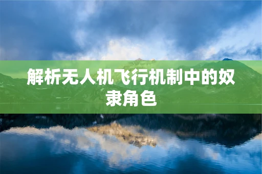 解析无人机飞行机制中的奴隶角色