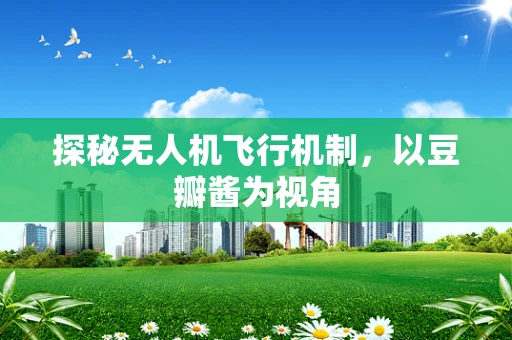 探秘无人机飞行机制，以豆瓣酱为视角