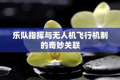 乐队指挥与无人机飞行机制的奇妙关联
