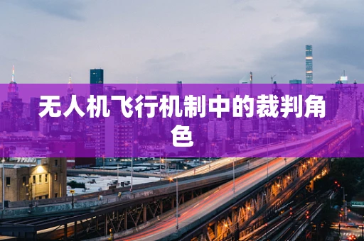 无人机飞行机制中的裁判角色