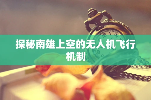 探秘南雄上空的无人机飞行机制