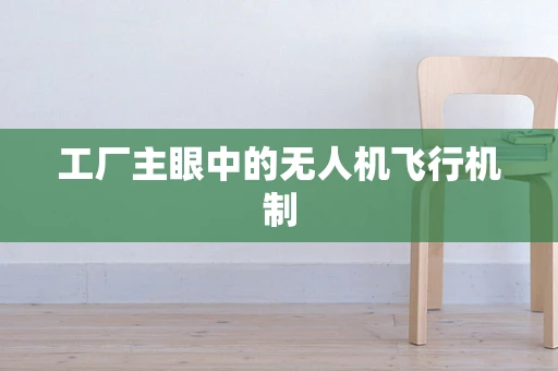 工厂主眼中的无人机飞行机制