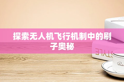 探索无人机飞行机制中的刷子奥秘
