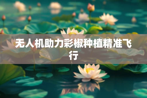 无人机助力彩椒种植精准飞行
