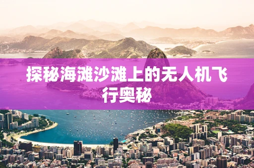 探秘海滩沙滩上的无人机飞行奥秘