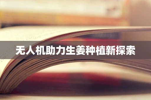 无人机助力生姜种植新探索