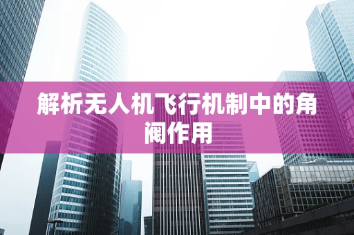 解析无人机飞行机制中的角阀作用