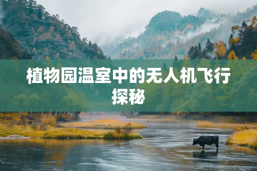 植物园温室中的无人机飞行探秘