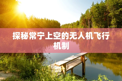 探秘常宁上空的无人机飞行机制