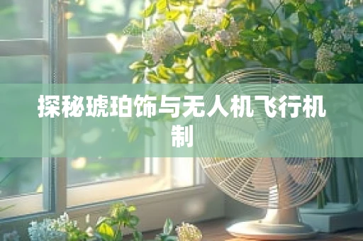 探秘琥珀饰与无人机飞行机制