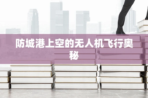 防城港上空的无人机飞行奥秘
