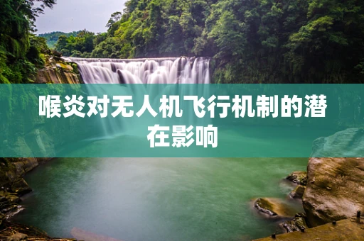 喉炎对无人机飞行机制的潜在影响