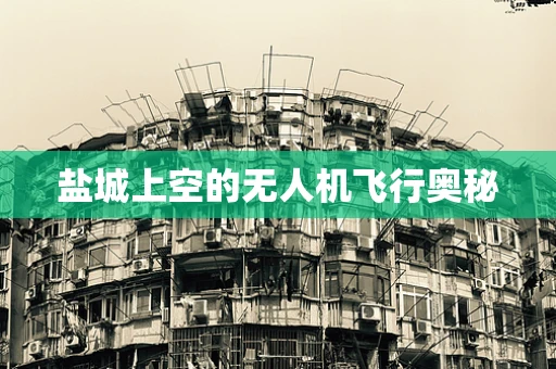 盐城上空的无人机飞行奥秘