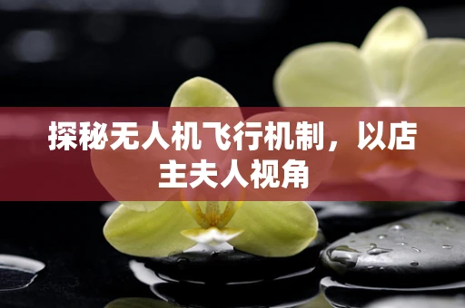 探秘无人机飞行机制，以店主夫人视角