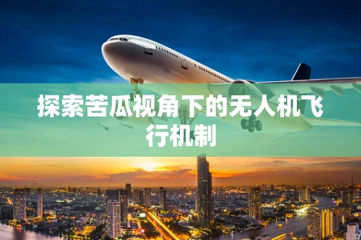 探索苦瓜视角下的无人机飞行机制
