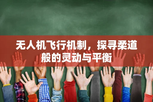 无人机飞行机制，探寻柔道般的灵动与平衡