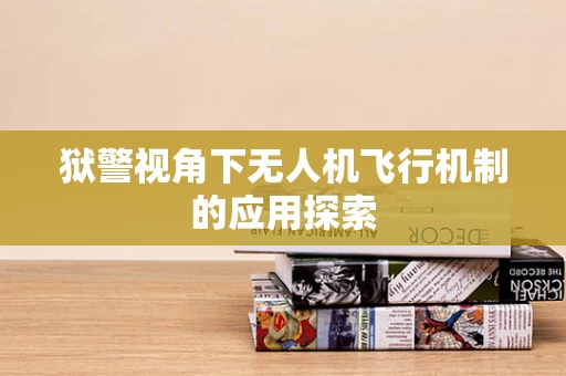 狱警视角下无人机飞行机制的应用探索