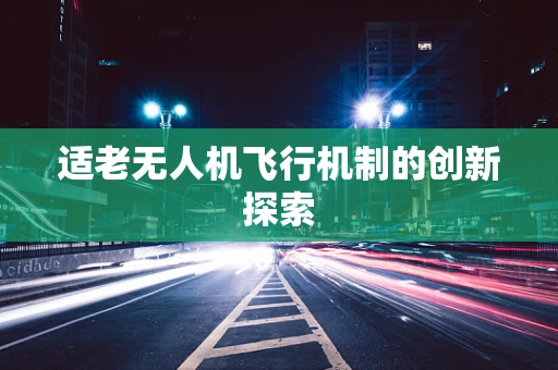 适老无人机飞行机制的创新探索